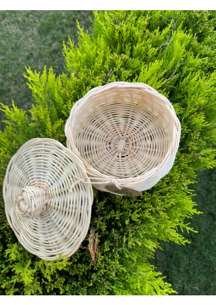 Rattan Bambu Kapaklı Sepet Doğal Renk fiyatları