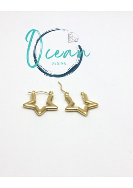 Çelik Gold Renk Yıldız Model Kadın Küpe indirimleri