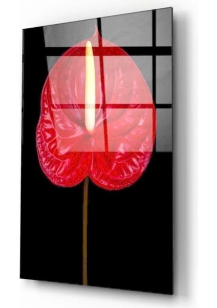 Çiçek Cam Tablo fiyatları