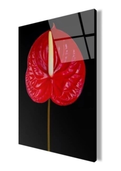 Çiçek Cam Tablo fırsatları