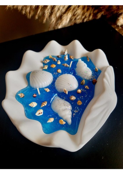 Dekoratif & Büyük Deniz Kabuğu Mavi Jel Mum indirimleri