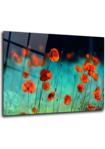 Gelincik Çiçekler Cam Tablo Duvar Dekarasyonu fırsatları