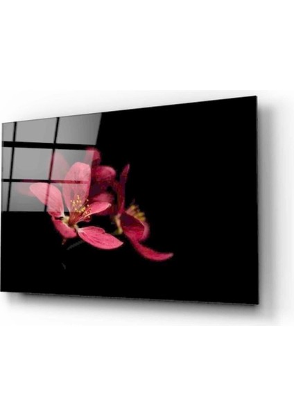 Çiçek Cam Tablo