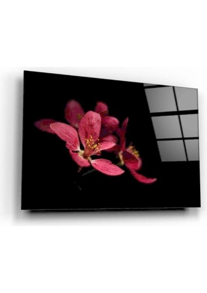 Çiçek Cam Tablo fiyatları