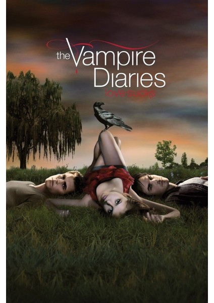 The Vampire Diaries (2009) 4 ( Tv - Dizi ) (Folyo / Afiş / Poster) ( 50 cm x 70 cm )