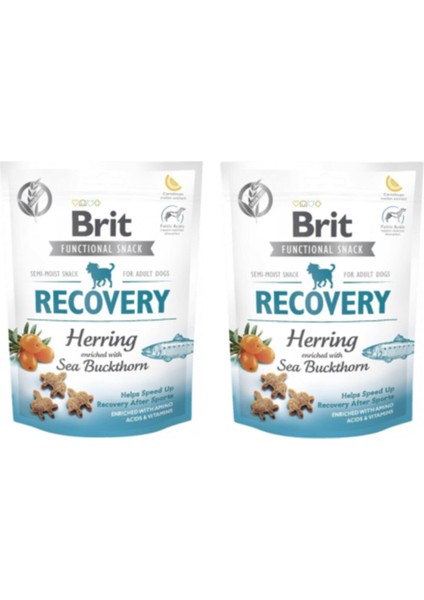 2 Adet Recovery Ringa Balıklı Köpek Ödülü 2 x 150 gr
