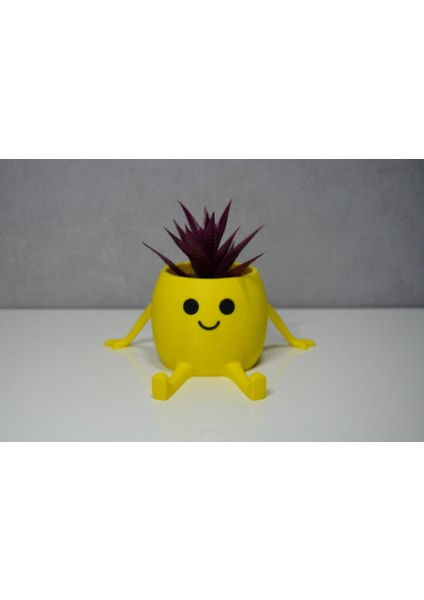 3D Oturan Mini Saksı Sarı