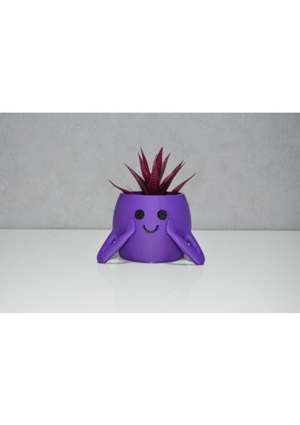 3D Neşeli Mini Saksı Mor