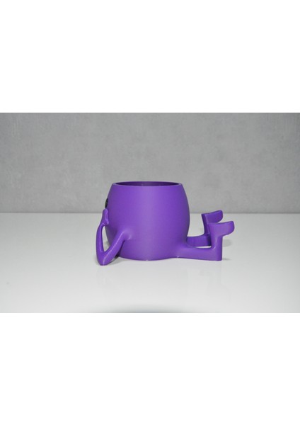 3D Neşeli Mini Saksı Mor