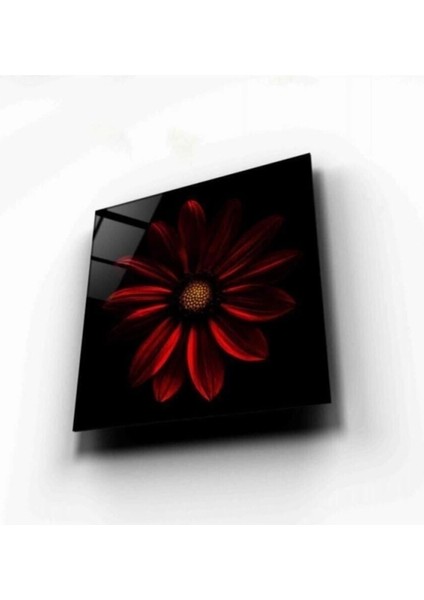 Çiçek Cam Tablo fırsatları