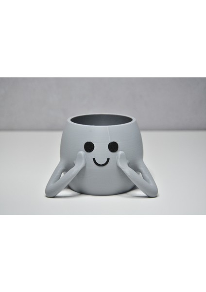 3D Neşeli Mini Saksı - Açık Gri