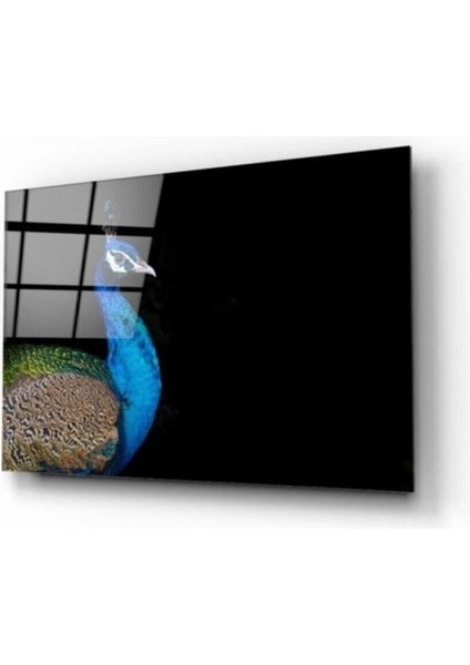 Tavuskuşu Cam Tablo 50 x 70 cm