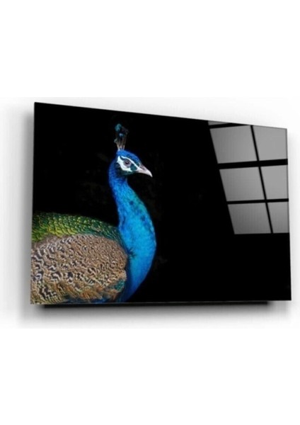 Tavuskuşu Cam Tablo 50 x 70 cm fiyatları