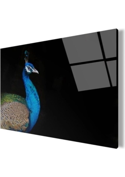Tavuskuşu Cam Tablo 50 x 70 cm modelleri