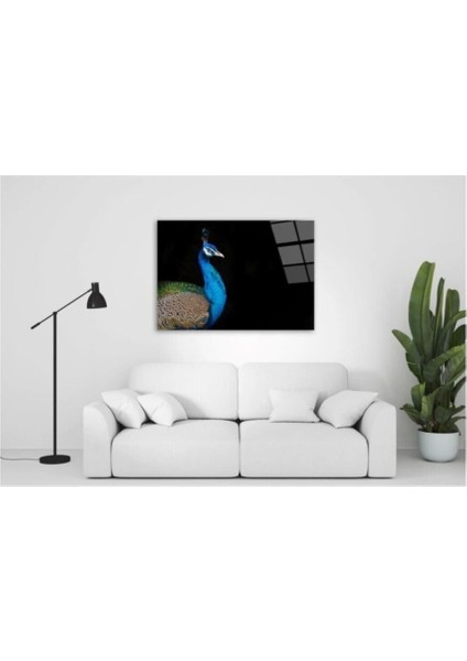 Tavuskuşu Cam Tablo 50 x 70 cm fırsatları