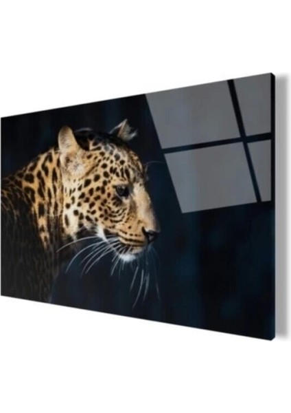 Siyah Çita Cam Tablo fırsatları