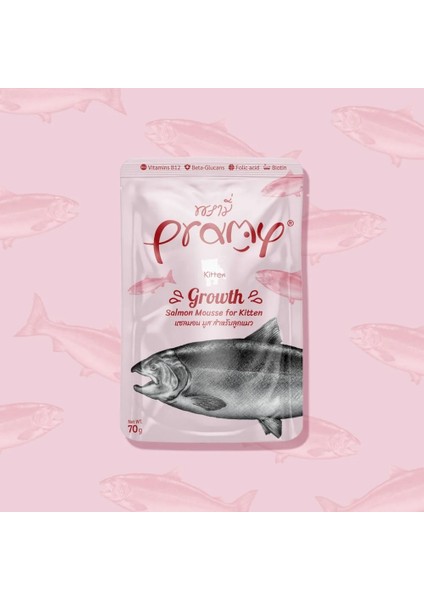 Yavru Kediler Için Somonlu Ezme Yaş Kedi Maması 70GR - 24 Adet