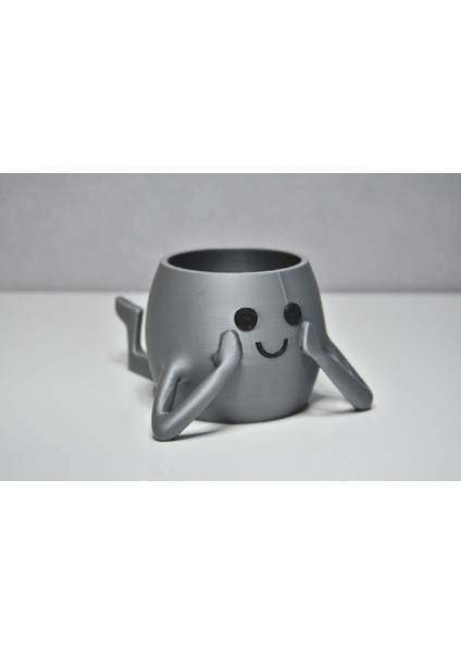 3D Neşeli Mini Saksı - Gümüş fiyatları