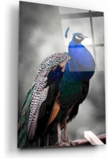 Tavuskuşu Cam Tablo 2 50 x 70 cm fırsatları