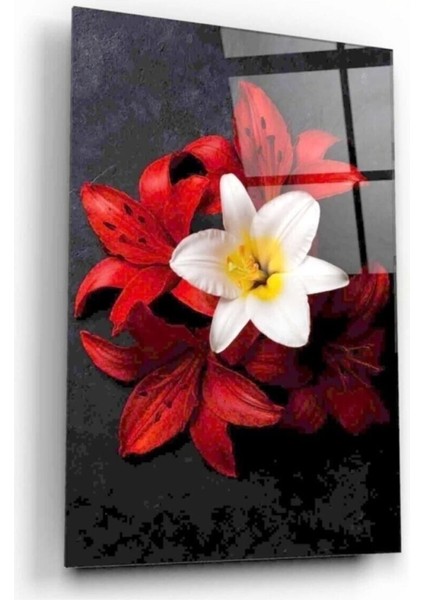 Çiçek Cam Tablo fiyatları