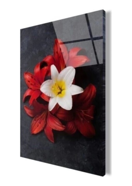 Çiçek Cam Tablo fırsatları