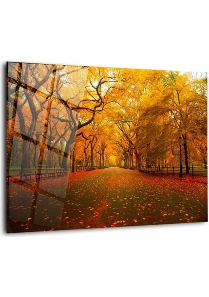 Ağaçlı Yol Cam Tablo Duvar Dekarasyonu fiyatları