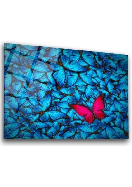 Mavi Kelebekler Cam Tablo fiyatları