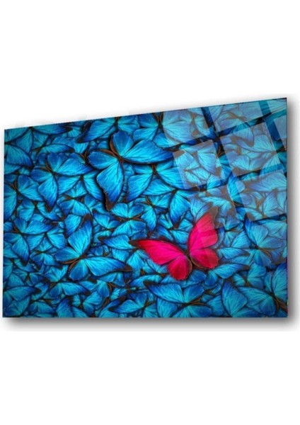 Mavi Kelebekler Cam Tablo modelleri