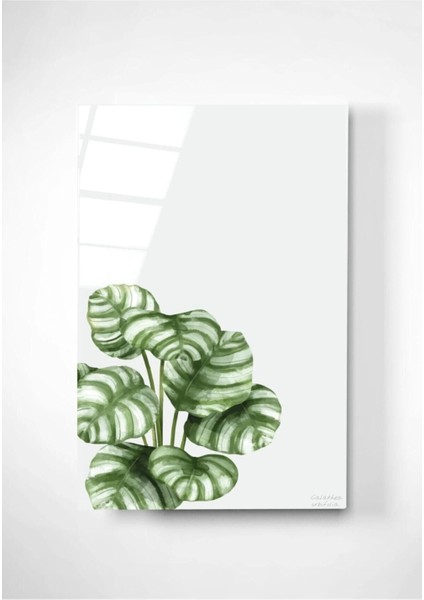 Digi-Art Calathea Orbifolia Cam Tablo 70 x 110