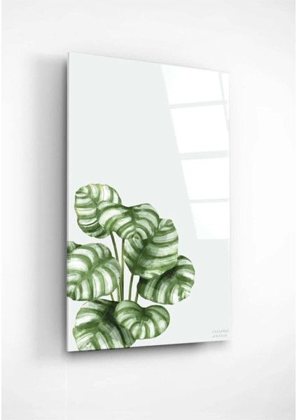Digi-Art Calathea Orbifolia Cam Tablo 70 x 110 fiyatları