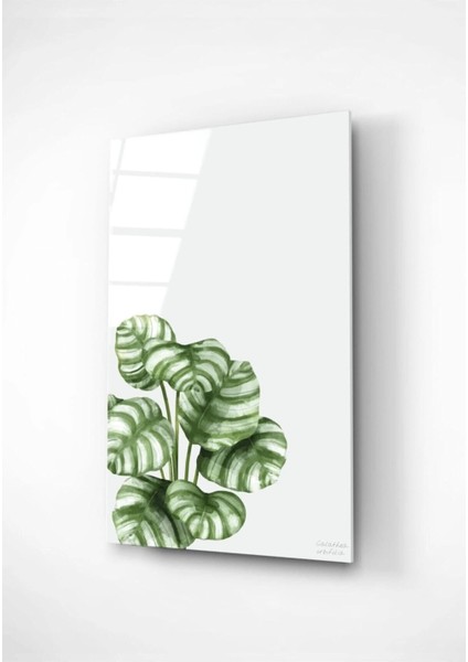 Digi-Art Calathea Orbifolia Cam Tablo 70 x 110 modelleri