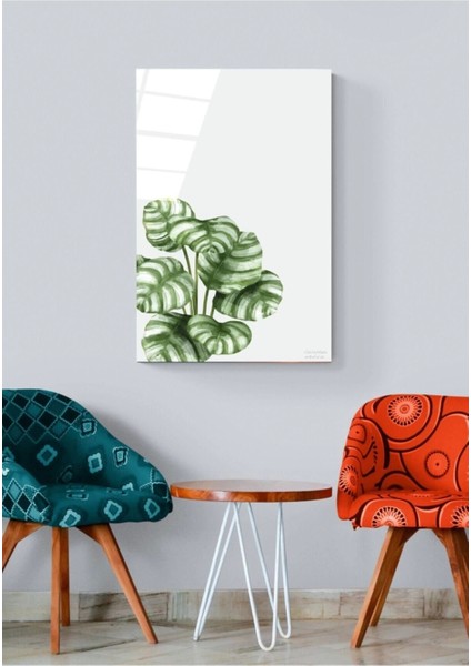 Digi-Art Calathea Orbifolia Cam Tablo 70 x 110 fırsatları