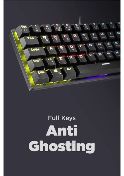 ALLY K11 Siyah 12 Işık Modlu Red Switch Mekanik Bilek Destekli Rainbow Antighosting Türkçe Q Gaming Oyuncu Klavyesi