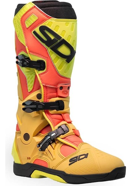 Sıdı Crossaır Gold Lıme