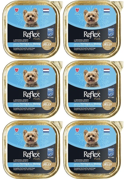 Jöle İçinde Et Parçacıklı Ringa ve Karidesli Küçük Irk Yetişkin Köpek Konservesi 85gr - 6 adet