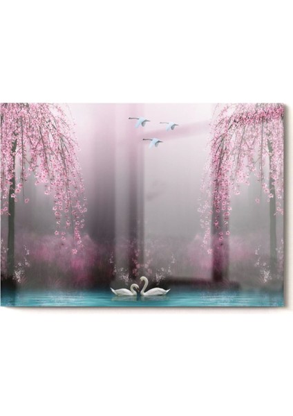 Kuğu Gölü Kuğuların Aşkı| Hayvan Temalı Cam Tablo | 50 x 70 cm fırsatları
