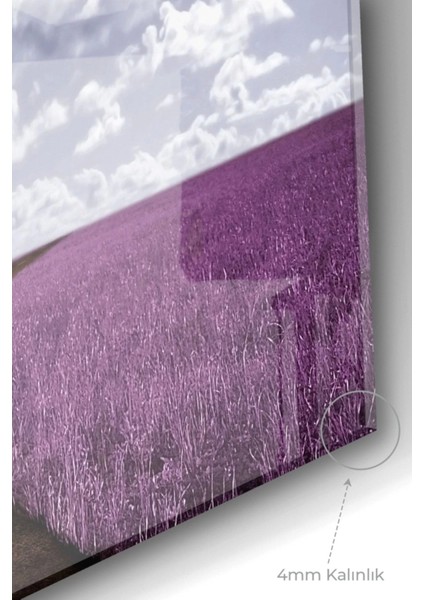 Yeşil Ağaç ve Ayrılan Yol | Doğa Temalı Cam Tablo | 50 x 70 cm modelleri