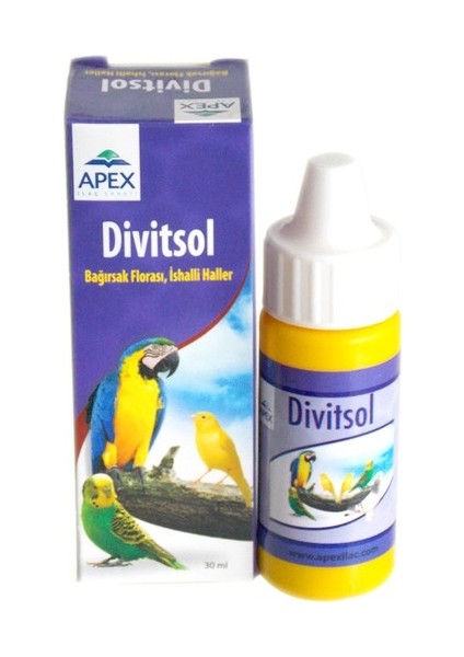 Güvercin – Divitsol