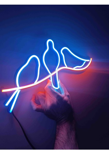 Neon LED Işıklı