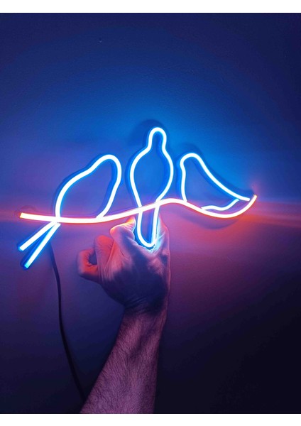 Neon LED Işıklı fiyatları