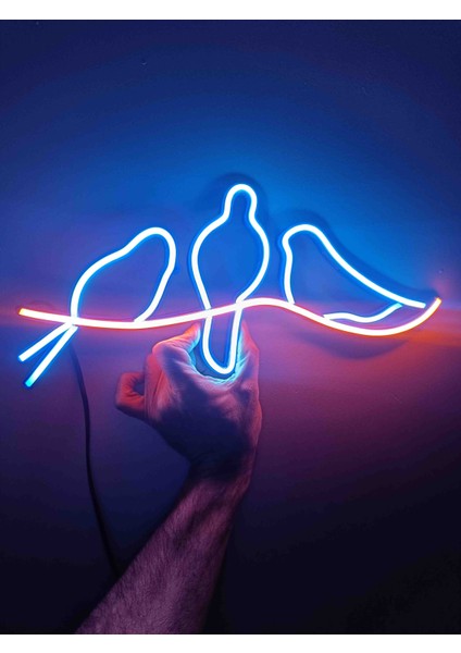 Neon LED Işıklı modelleri