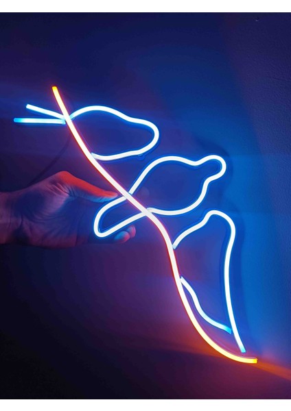 Neon LED Işıklı fırsatları