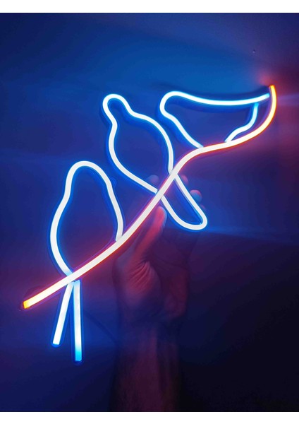 Neon LED Işıklı indirimleri
