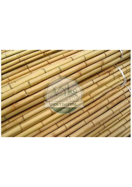 Kamış Çit Bambu Çit Hasır Doğal 1,00 x 5,00 Metre (Telli)