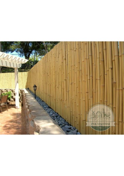 Kamış Çit Bambu Çit Hasır Doğal 1,00 x 5,00 Metre (Telli)