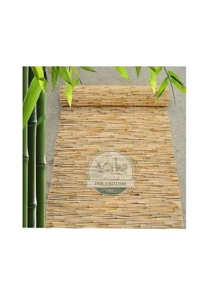 Kamış Çit Bambu Çit Hasır Doğal 1,00 x 5,00 Metre (Telli)