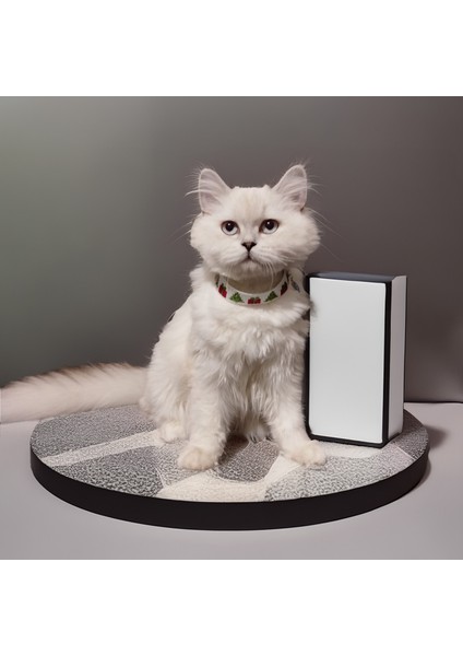 Kedi Köpek Için Orijinal Miyuki Yılbaşı Kolye / Takı