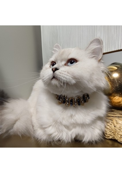 Kedi Köpek Için Aşk Merdiveni Siyah Kolye / Takı