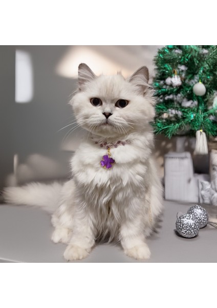 Kedi Köpek Için Bahar Dalı Mor Yonca Kolye / Takı
