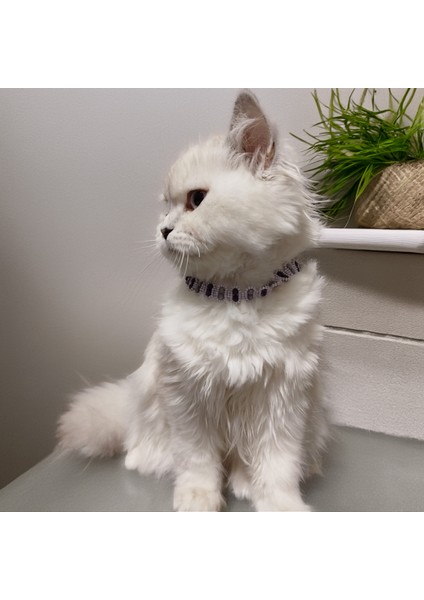 Kedi Köpek Için Sadem Mor Kolye / Takı modelleri